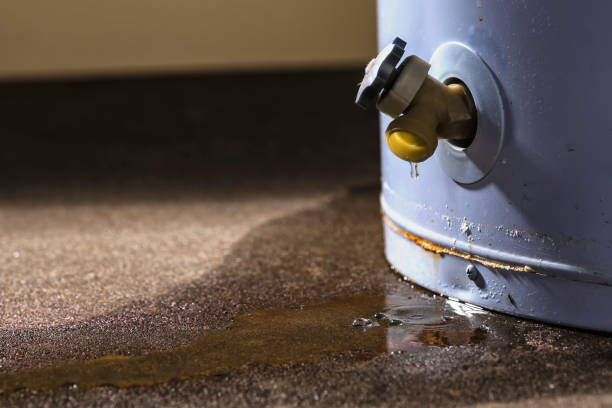 Best Sewage cleanup and water damage restoration  in Columbus, NC