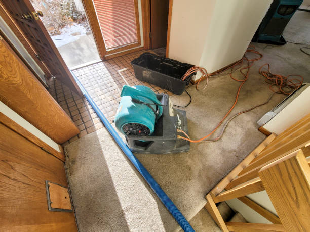 Best Basement water damage restoration  in Columbus, NC