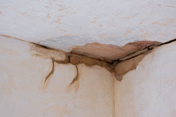Best Water damage contractors near me  in Columbus, NC