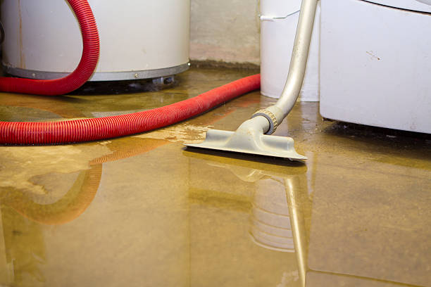 Best Fire Damage Restoration  in Columbus, NC