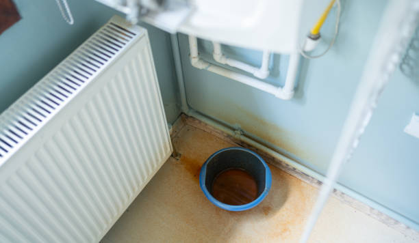 Best Water damage cleanup near me  in Columbus, NC