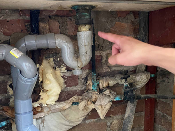 Best Water damage restoration near me  in Columbus, NC
