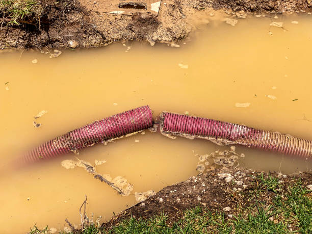 Carpet water damage restoration in NC